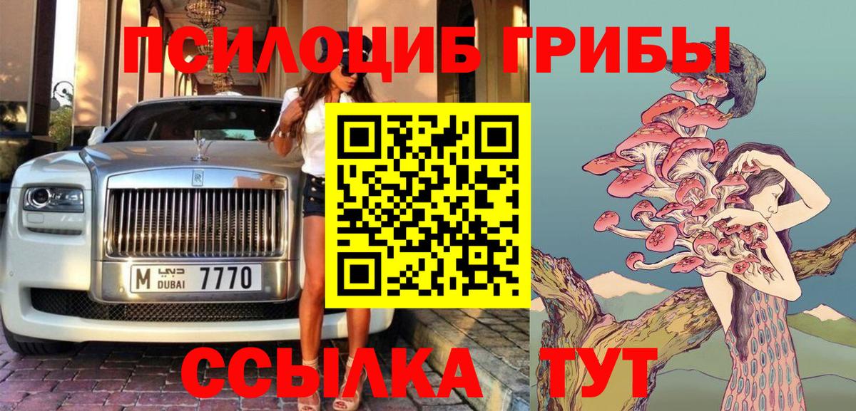 Псилоцибиновые грибы ЛСД Волхов