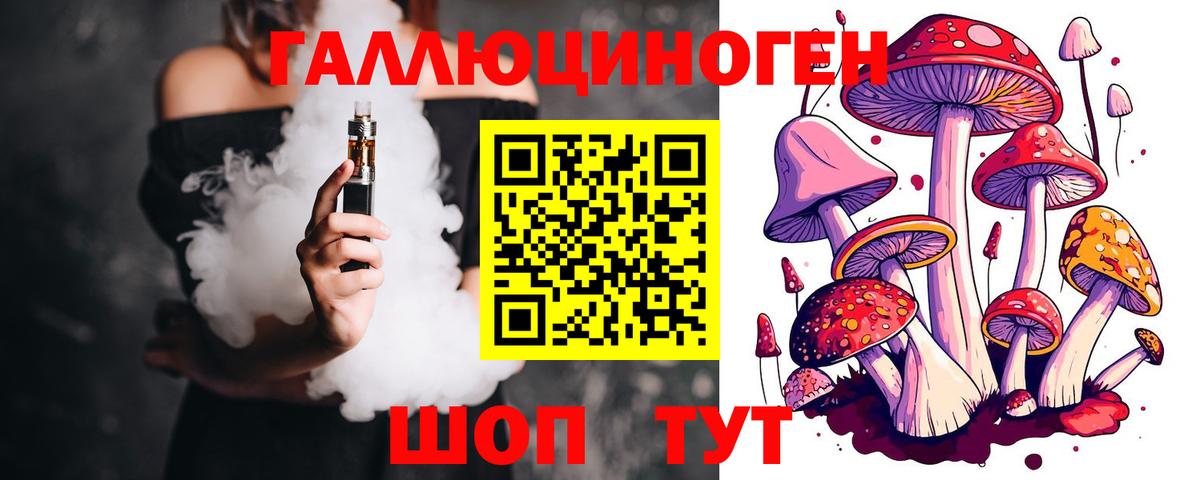 Галлюциногенные грибы Psilocybine cubensis  Вход с VPN  Волхов 